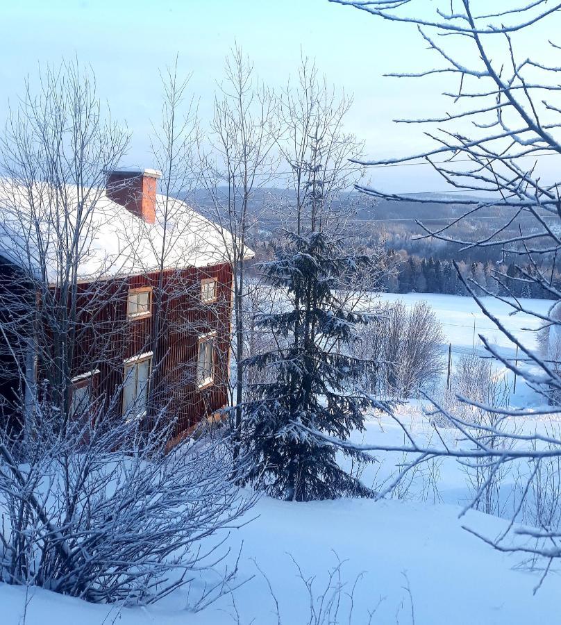 Cozy Stuga - Mountain View Ramsele Bagian luar foto