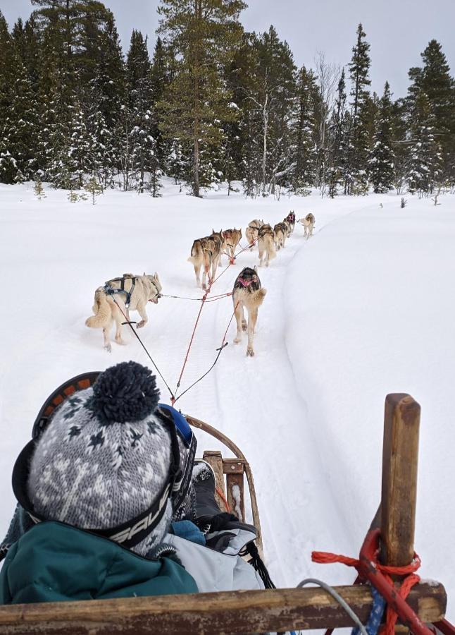 Cozy Stuga - Mountain View Ramsele Bagian luar foto