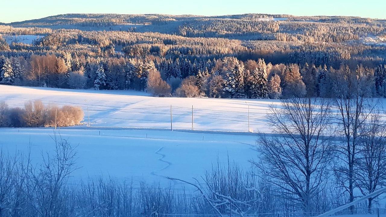 Cozy Stuga - Mountain View Ramsele Bagian luar foto