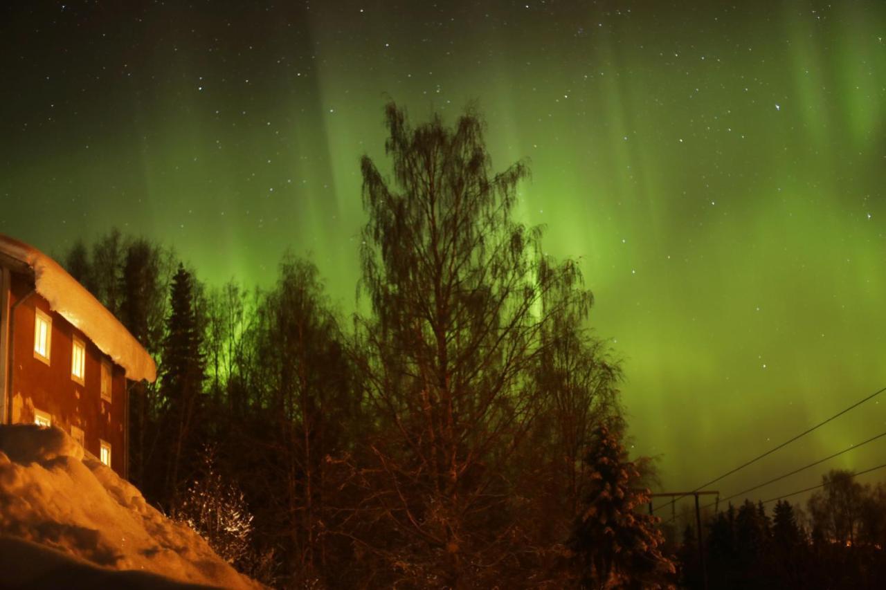 Cozy Stuga - Mountain View Ramsele Bagian luar foto