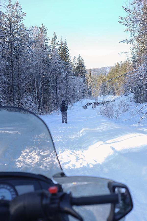 Cozy Stuga - Mountain View Ramsele Bagian luar foto