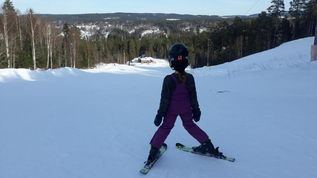 Cozy Stuga - Mountain View Ramsele Bagian luar foto