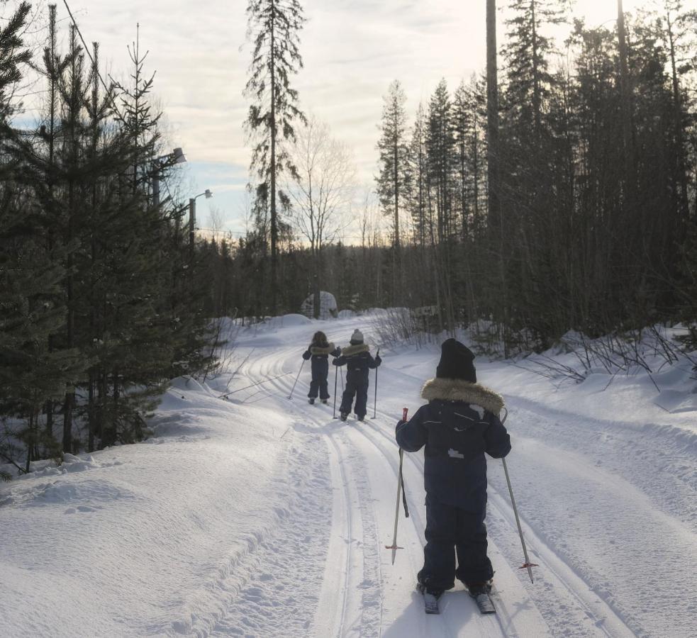 Cozy Stuga - Mountain View Ramsele Bagian luar foto