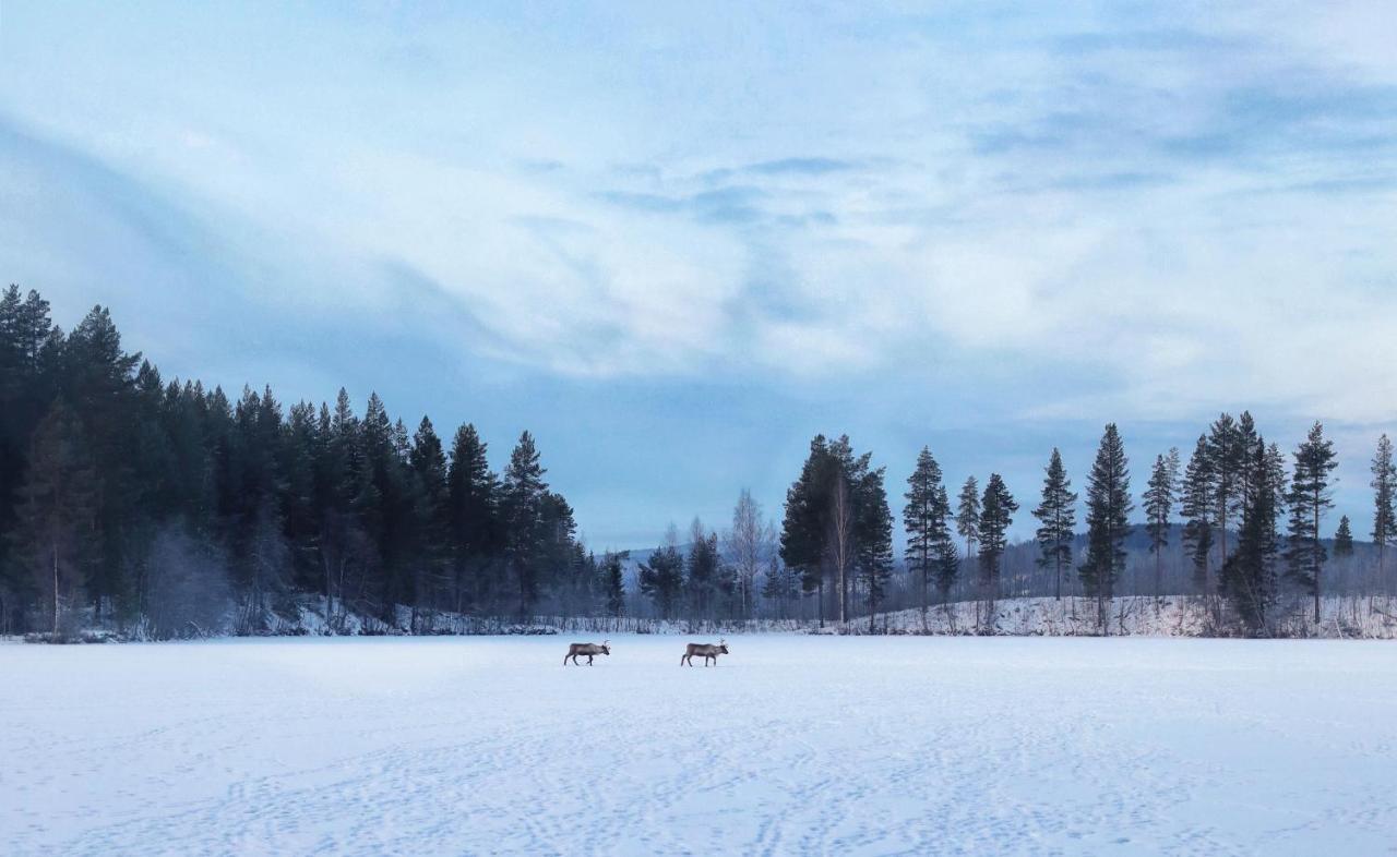 Cozy Stuga - Mountain View Ramsele Bagian luar foto