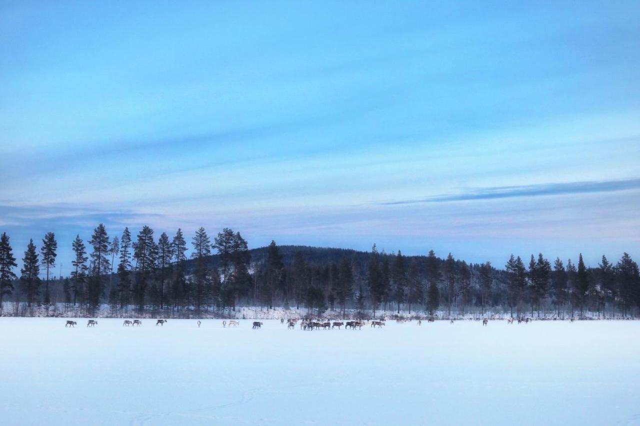 Cozy Stuga - Mountain View Ramsele Bagian luar foto