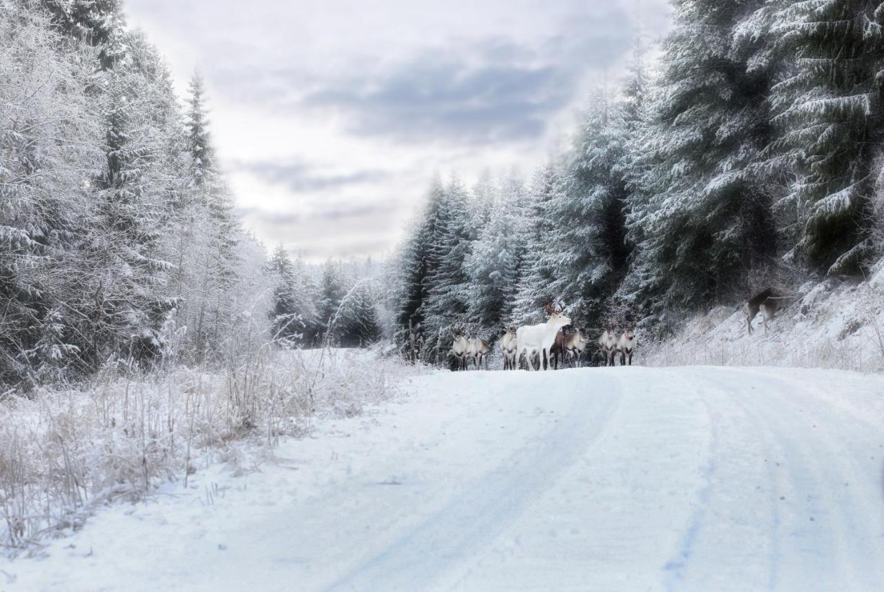 Cozy Stuga - Mountain View Ramsele Bagian luar foto