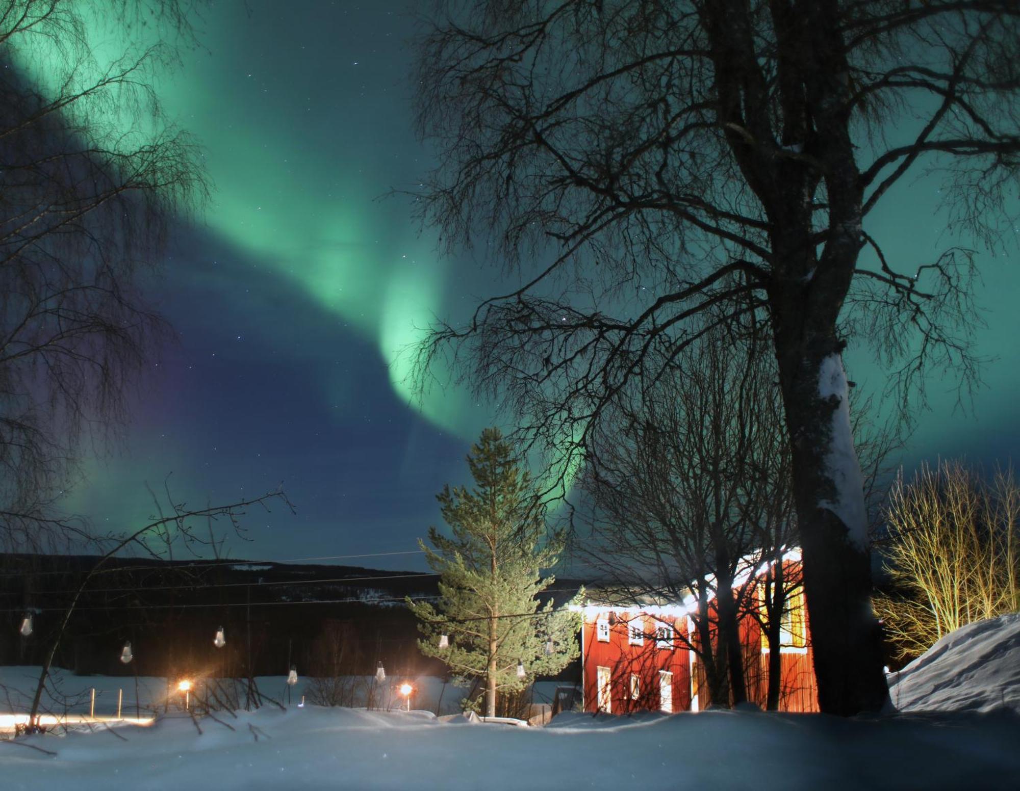 Cozy Stuga - Mountain View Ramsele Bagian luar foto