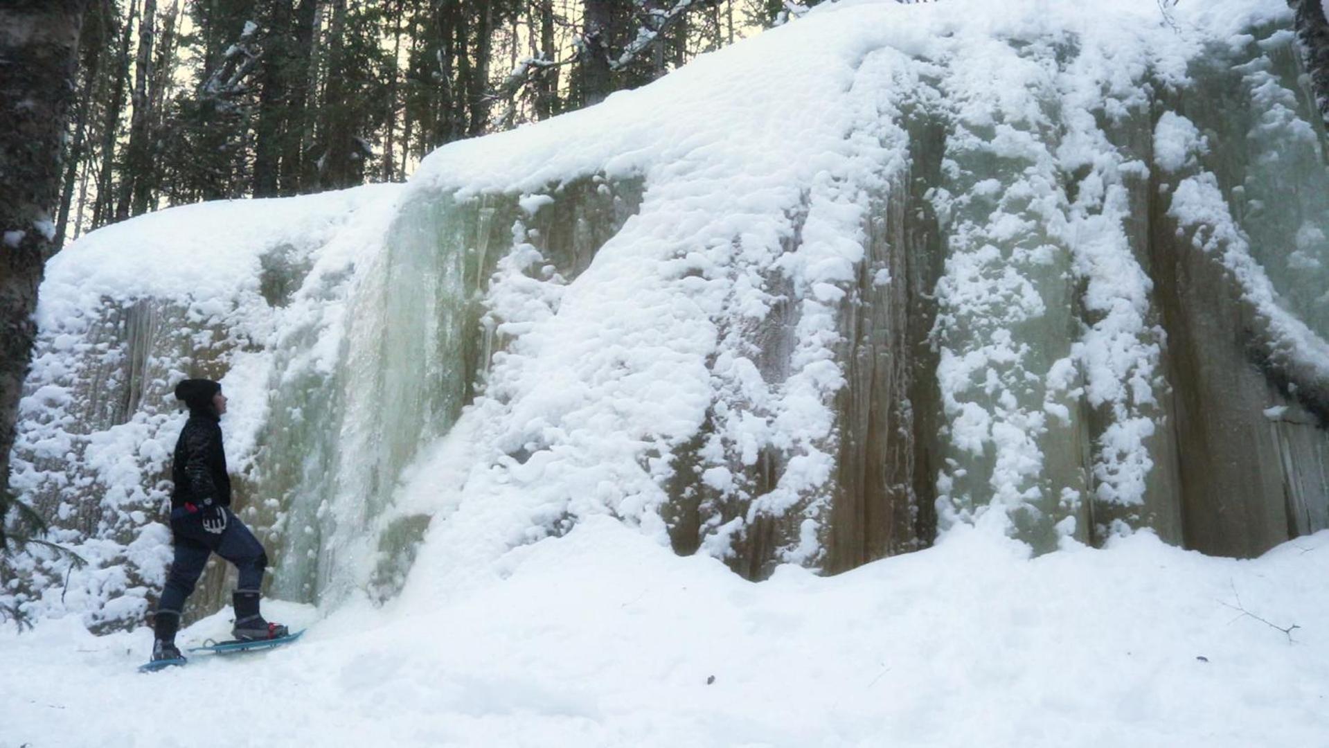 Cozy Stuga - Mountain View Ramsele Bagian luar foto